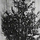 Illustration for article titled Christmas Lights, The Brief and Strangely Interesting History Of